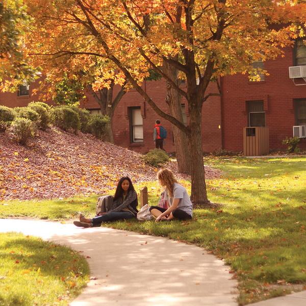 在一个美丽的秋日，两个年轻女子坐在一棵树下.